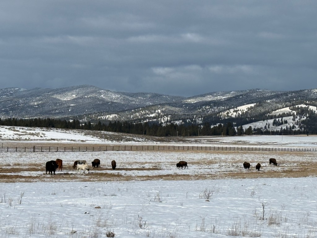 Luxury Winter Getaway at The Green O Resort